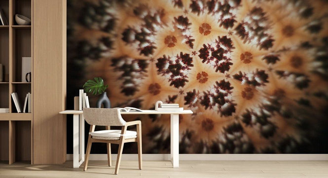 PHOTOWALL / We Sat on the Rocks (e93909)