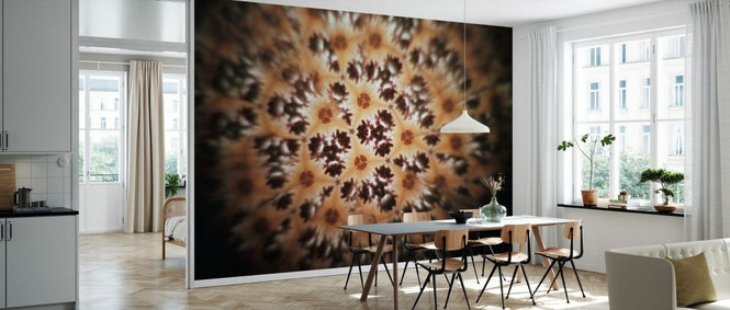 PHOTOWALL / We Sat on the Rocks (e93909)