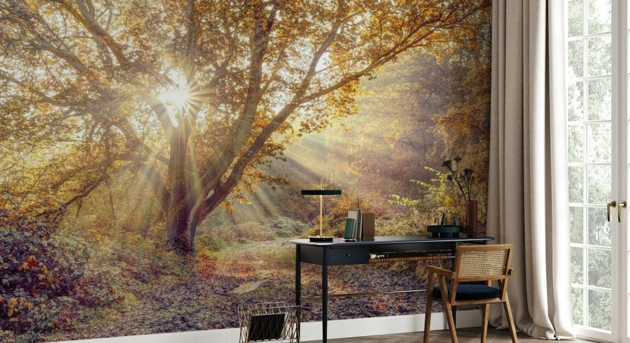 PHOTOWALL / Sunrays Through Tree in Autumn Forest (e93980)