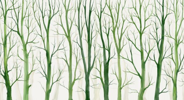 PHOTOWALL / Beech Forrest Watercolor (e94049)