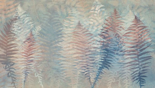 PHOTOWALL / Feather Ferns Soft Light (e94050)