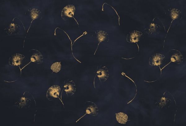 PHOTOWALL / Gilded Poppies (e94179)