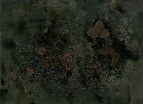 PHOTOWALL / Spring (e94232)