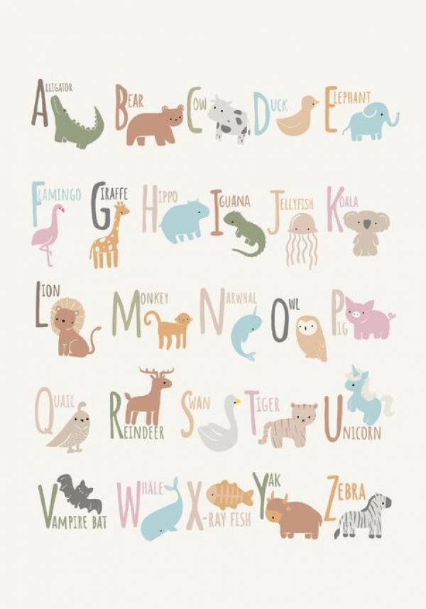 PHOTOWALL / Animal Alphabet (e94274)