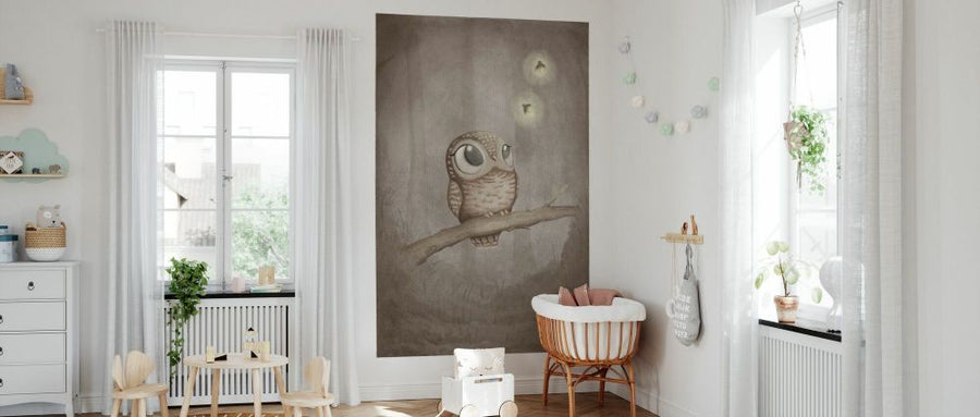 PHOTOWALL / Curious Owl (e94278)