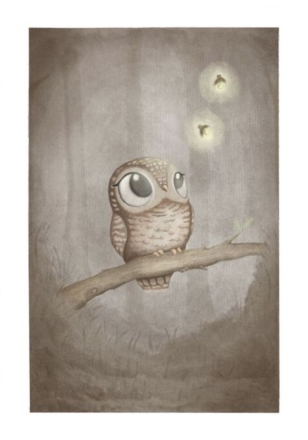 PHOTOWALL / Curious Owl (e94278)