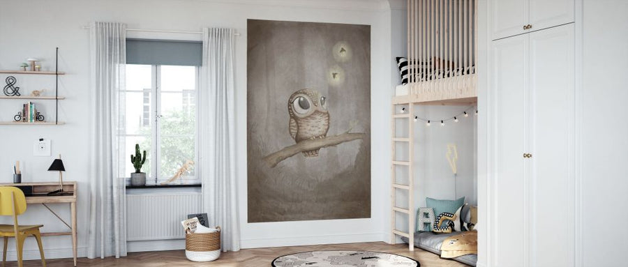 PHOTOWALL / Curious Owl (e94278)