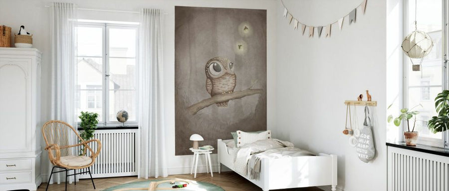 PHOTOWALL / Curious Owl (e94278)