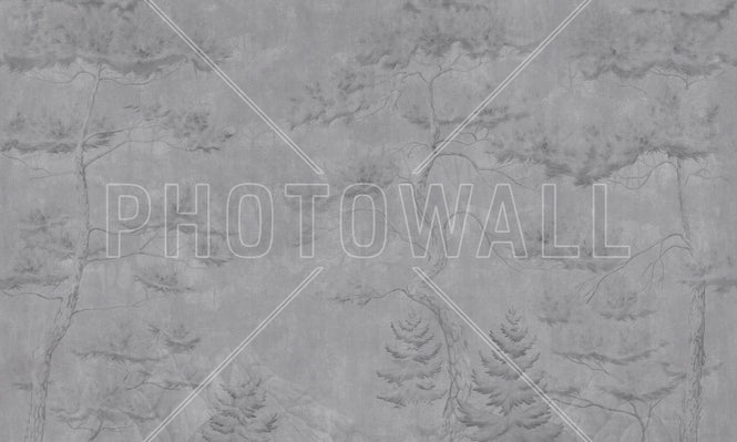 PHOTOWALL / Tall Trees - Light Grey (e94311)