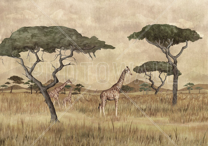 PHOTOWALL / Shining Horizon II (e94474)