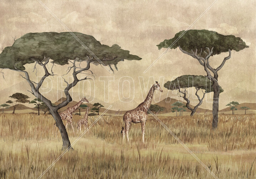 PHOTOWALL / Shining Horizon II (e94474)