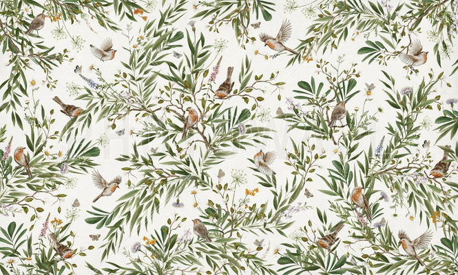 PHOTOWALL / Playful Robins - White (e94558)