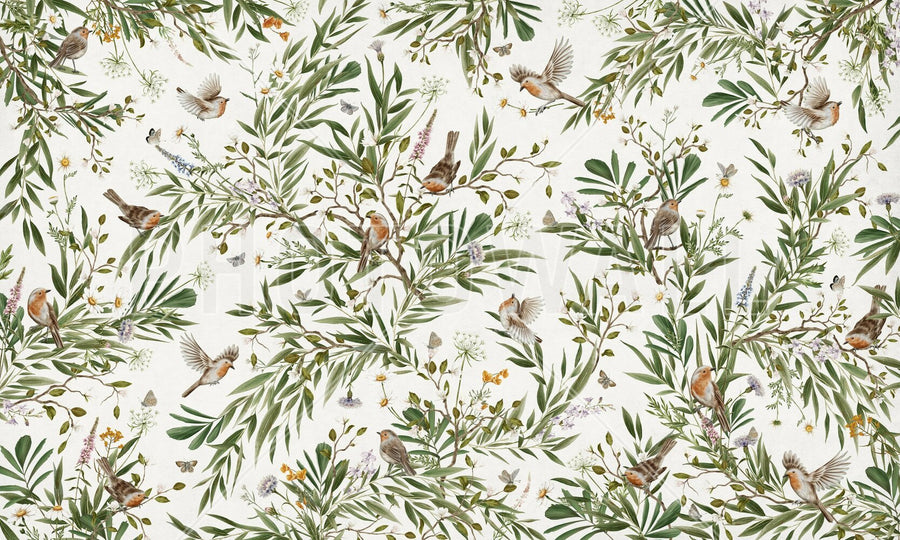 PHOTOWALL / Playful Robins - White (e94558)