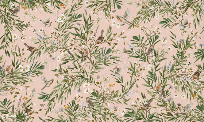 PHOTOWALL / Playful Robins - Pink (e94564)