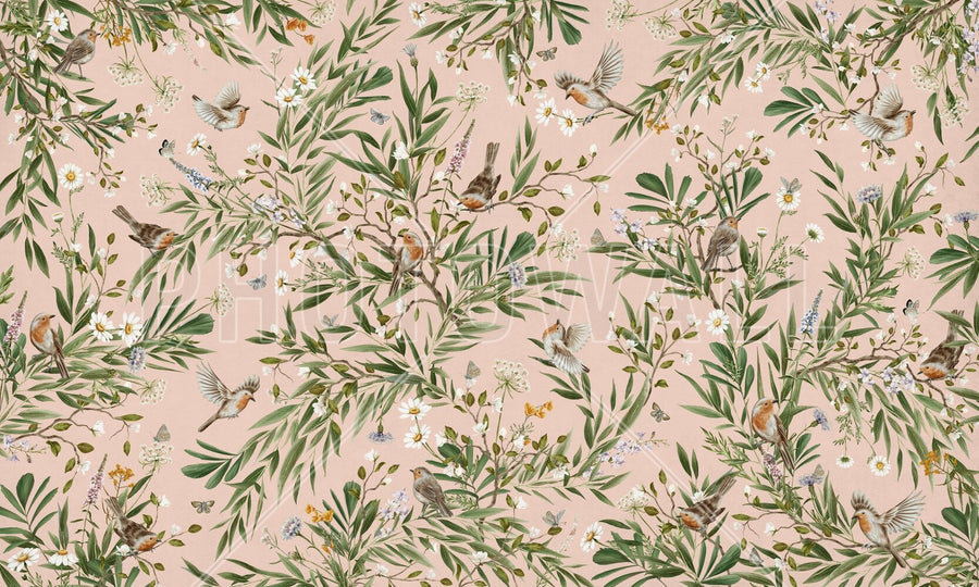 PHOTOWALL / Playful Robins - Pink (e94564)