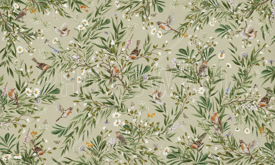 PHOTOWALL / Playful Robins - Green (e94569)
