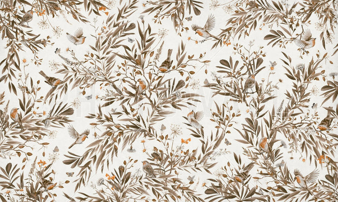 PHOTOWALL / Playful Robins - Monochrome - White (e94572)