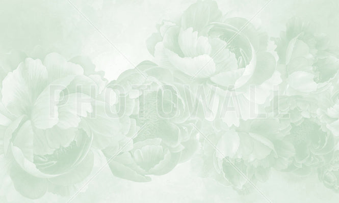PHOTOWALL / Peony - Green (e94642)