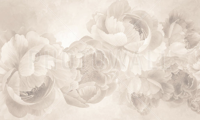PHOTOWALL / Peony - Beige (e94643)