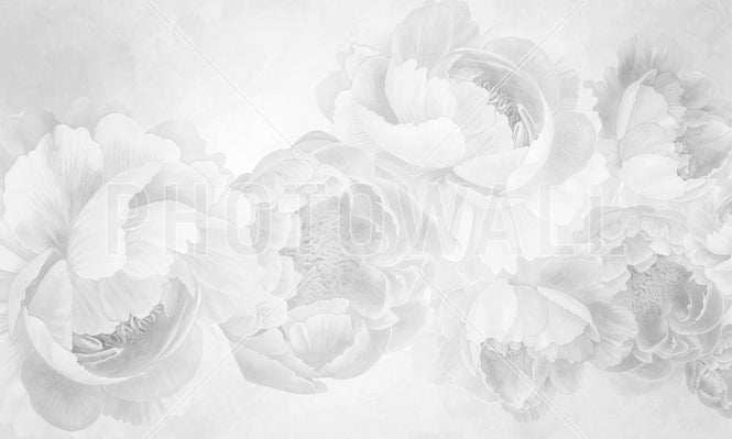 PHOTOWALL / Peony - BW (e94655)