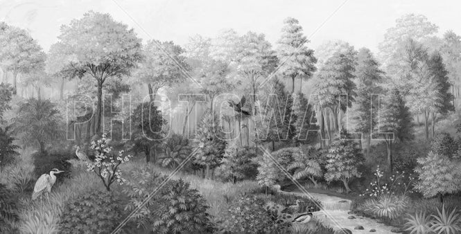 PHOTOWALL / Wildlife in Serene Forest - BW II (e94706)