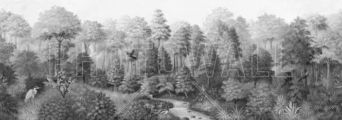 PHOTOWALL / Wildlife in Serene Forest - BW (e94707)