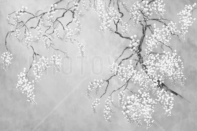 PHOTOWALL / Blossom Wisteria - BW (e94720)