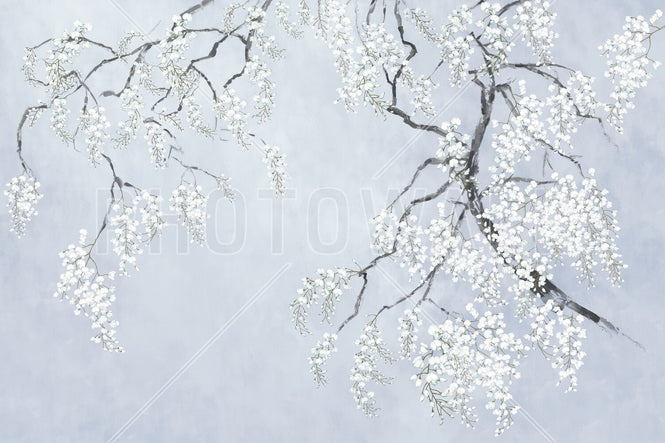 PHOTOWALL / Blossom Wisteria - Blue (e94722)
