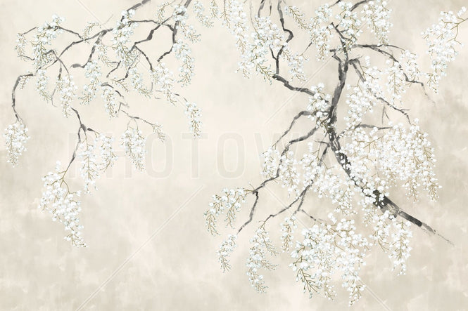 PHOTOWALL / Blossom Wisteria - Beige (e94725)