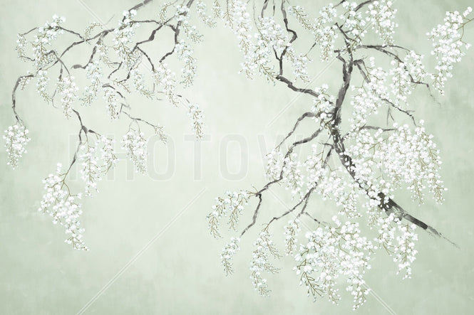 PHOTOWALL / Blossom Wisteria - Green (e94729)