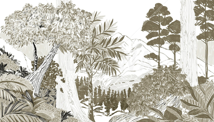 PHOTOWALL / Lush Forest Trees - Gravel Green (e94795)