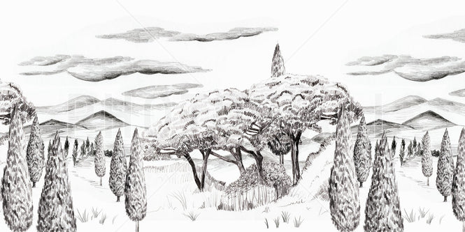 PHOTOWALL / Tropical Trees - Wide BW (e94801)