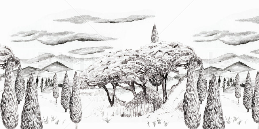 PHOTOWALL / Tropical Trees - Wide BW (e94801)