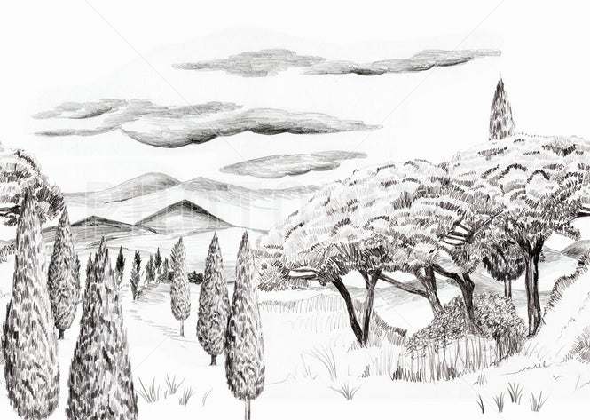 PHOTOWALL / Tropical Trees - BW (e94812)
