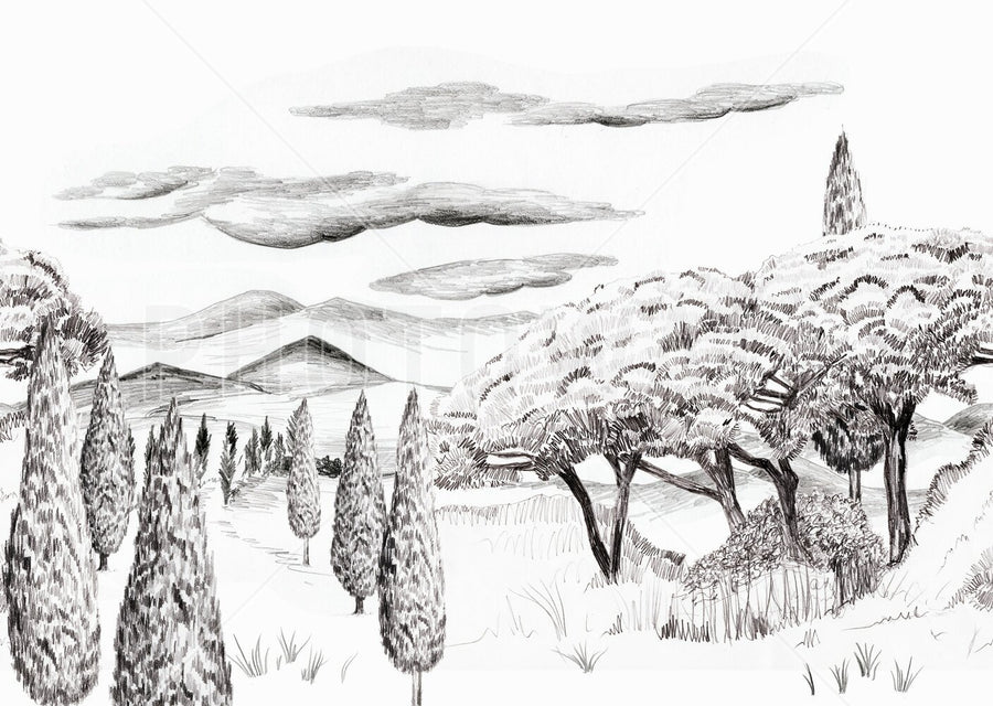 PHOTOWALL / Tropical Trees - BW (e94812)