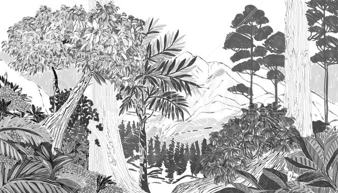 PHOTOWALL / Lush Forest Trees - BW (e94822)