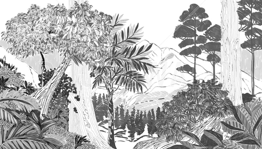 PHOTOWALL / Lush Forest Trees - BW (e94822)