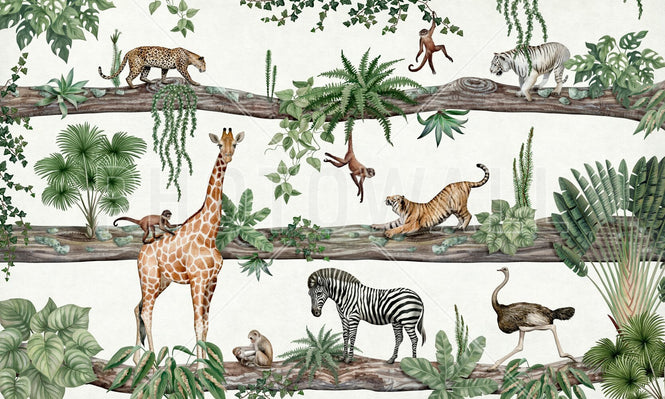 PHOTOWALL / Amazing Animals (e94883)