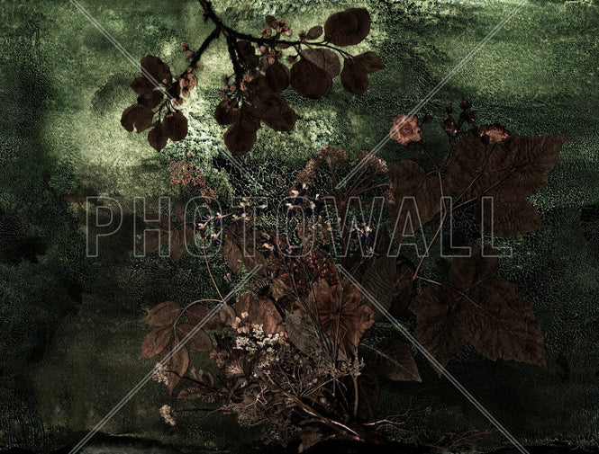 PHOTOWALL / Norrviken (e94960)