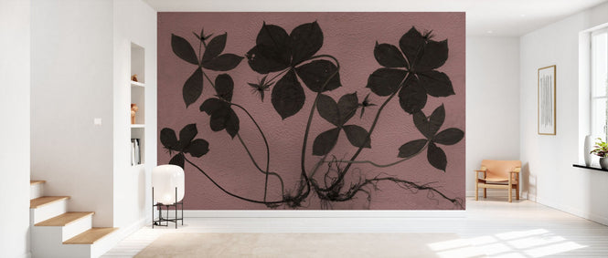 PHOTOWALL / Paris (e94961)