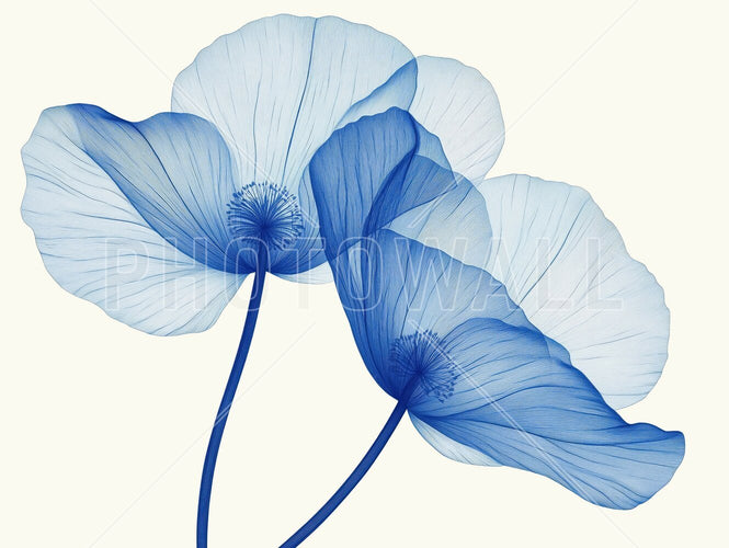 PHOTOWALL / Blue Flowers (e94991)