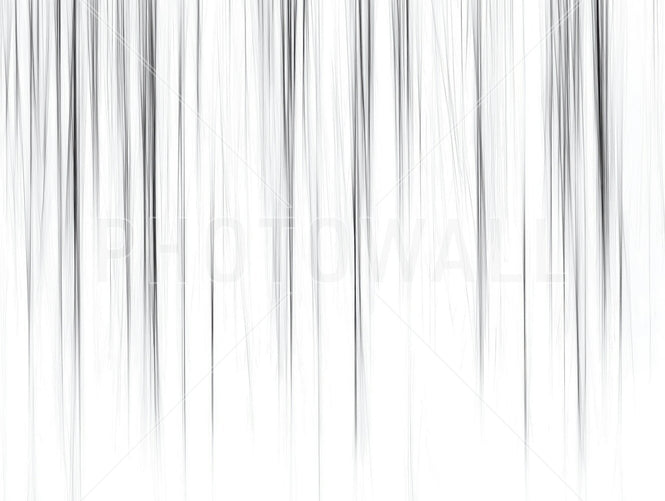 PHOTOWALL / White (e95000)