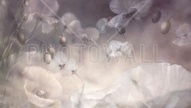 PHOTOWALL / Dreams of White Poppies (e95097)