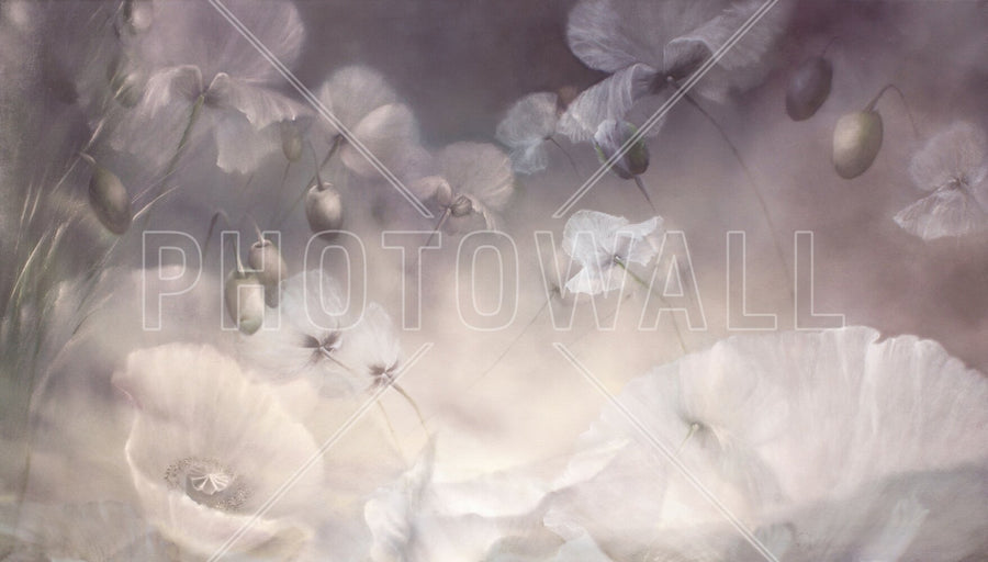 PHOTOWALL / Dreams of White Poppies (e95097)