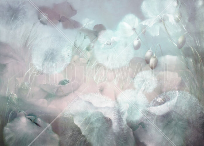 PHOTOWALL / Just a Touch of Petals (e95098)