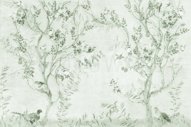 PHOTOWALL / Pretty Birds in Branches - Green (e95222)