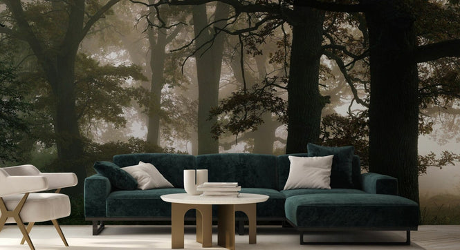 PHOTOWALL / Mysterious Forest (e95291)