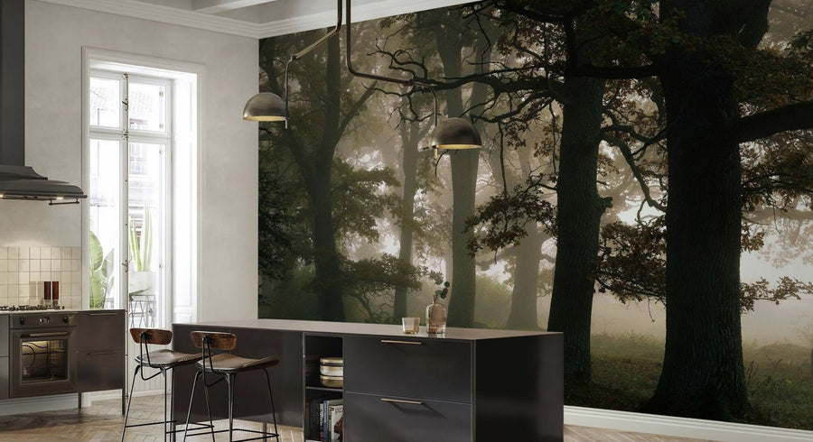 PHOTOWALL / Mysterious Forest (e95291)