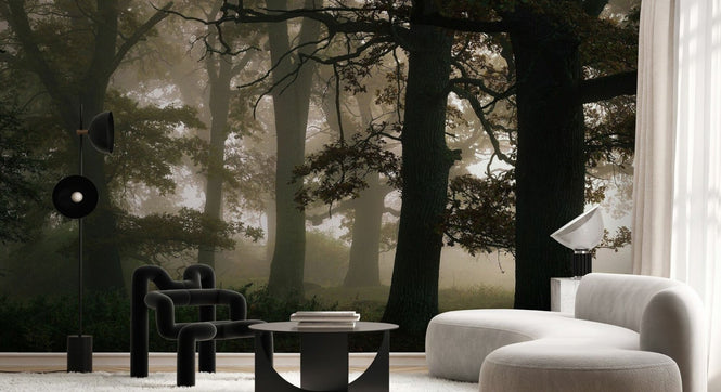 PHOTOWALL / Mysterious Forest (e95291)