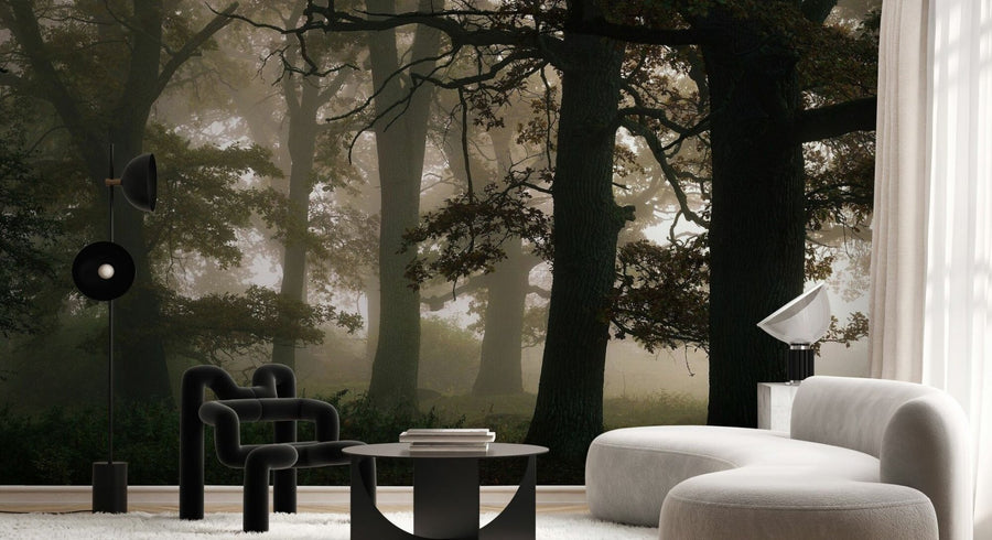 PHOTOWALL / Mysterious Forest (e95291)